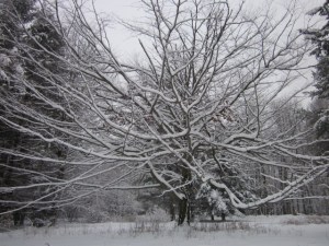 march snow day 2013 068