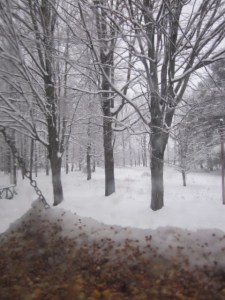 march snow day 2013 153