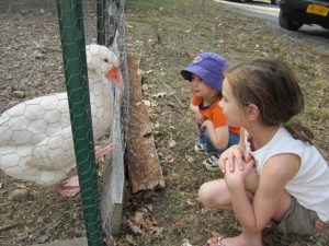 Elihu's 10th Birthday 2013 168