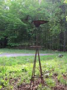 iron bird may 13 081