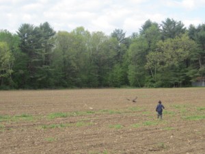 May 2013 Merck Forest 007