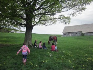 May 2013 Merck Forest 083