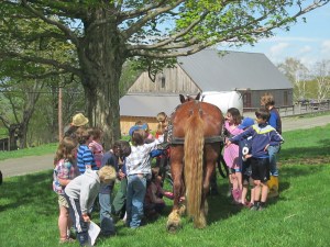 May 2013 Merck Forest 093