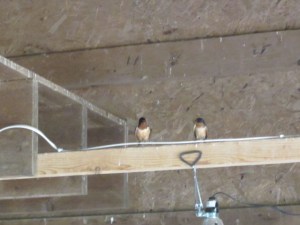 May 2013 Merck Forest 143