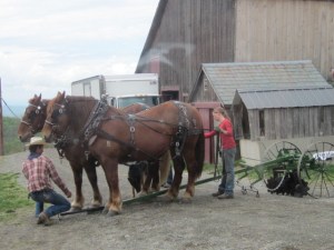 May 2013 Merck Forest 147