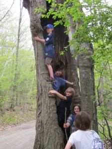 May 2013 Merck Forest 152