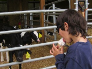 May 2013 Merck Forest 157