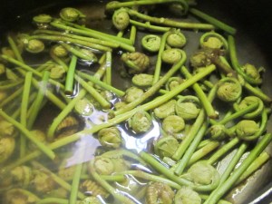 May Apple Blossoms 2013 042