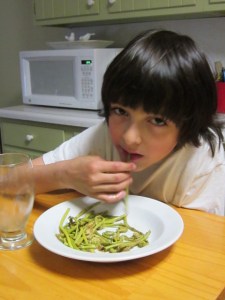 May Apple Blossoms 2013 045