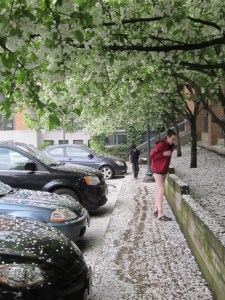 May wishing well ballet 2013 084