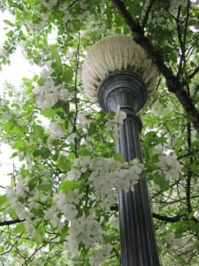 May wishing well ballet 2013 100