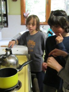 BUgs 2 June 2013 025