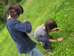 eating bugs june 2013 003