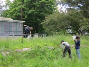 eating bugs june 2013 013