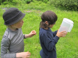 eating bugs june 2013 018