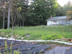 June 2013 end of school 279