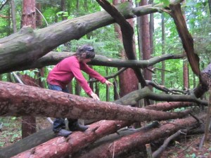 June 2013 end of school 558