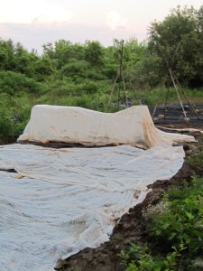 June 2013 Interim 025