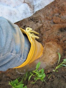 June 2013 Interim 026