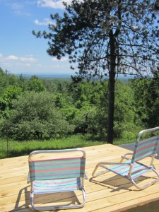 June 2013 Interim 059