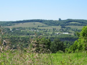 June 2013 Summer Begins 071