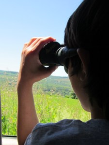 June 2013 Summer Begins 074