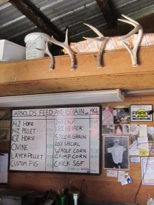 June 2013 Summer Begins 086