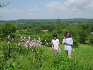 May June 2013 Alice 018