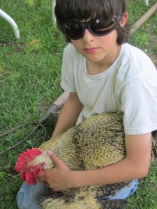 May June 2013 Alice 120