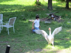 May June 2013 Alice 159