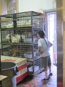 July 2013 trip B 942