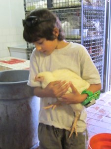 July 2013 trip B 943