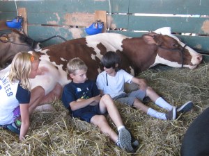 County Fair 2013 203