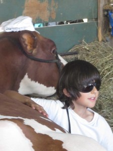 County Fair 2013 210