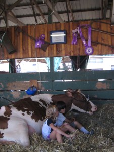 County Fair 2013 227