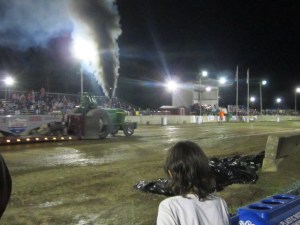 County Fair 2013 457