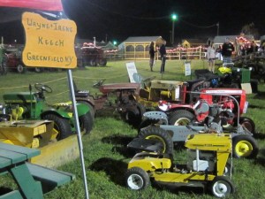 County Fair 2013 495