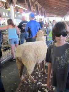 county fair and cleanout 2013 727