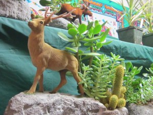 county fair and cleanout 2013 794