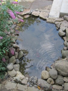 gone fishin 2013 004