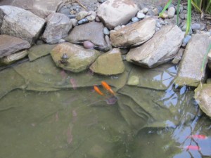 gone fishin 2013 014