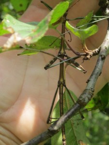 gone fishin 2013 073