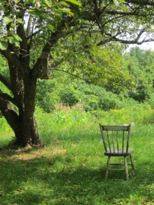 gone fishin 2013 085