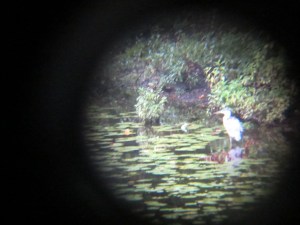 Bounty Sept 2013 014