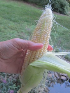 First Day Fifth Grade 2013 239