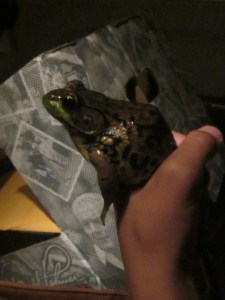 Lake George Dept 2013 345