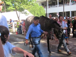 Travers Day 2013 019