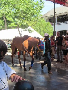 Travers Day 2013 020