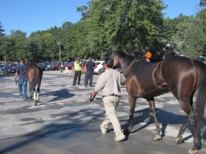 Travers Day 2013 097