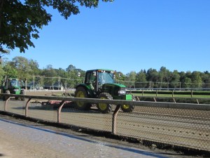 Travers Day 2013 100